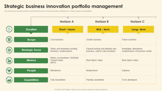 Strategic Business Innovation Portfolio Management