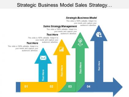 Strategic business model sales strategy management implementation management cpb