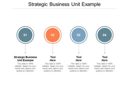 Strategic business unit example ppt powerpoint presentation summary graphics cpb