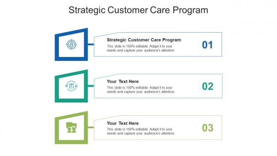 Strategic customer care program ppt powerpoint presentation ideas graphics template cpb