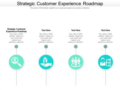 Strategic customer experience roadmap ppt powerpoint presentation infographic template graphic cpb