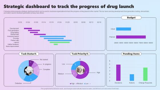 Strategic Dashboard To Track The Progress Of Drug Launch