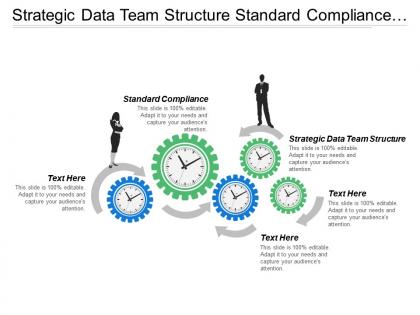 Strategic data team structure standard compliance seo shared services