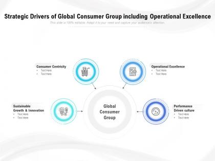 Strategic drivers of global consumer group including operational excellence