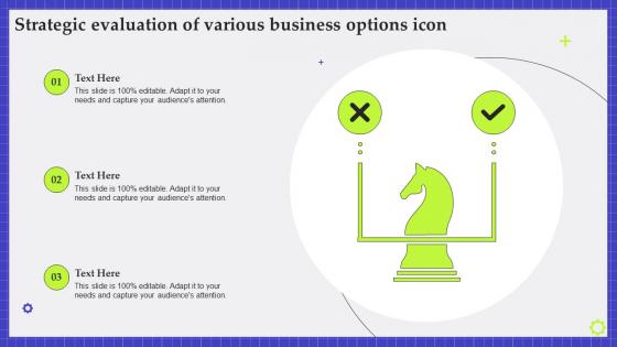 Strategic Evaluation Of Various Business Options Icon