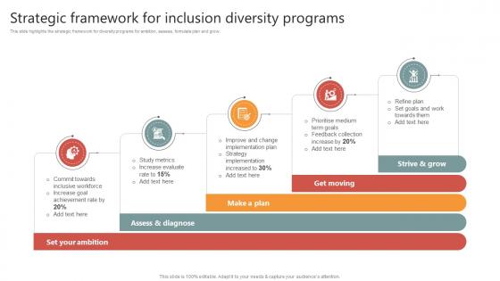 Strategic Framework For Inclusion Diversity Programs