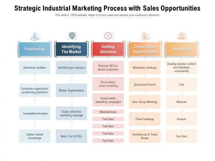Strategic industrial marketing process with sales opportunities