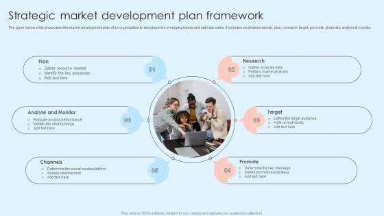 Strategic Market Development Plan Framework