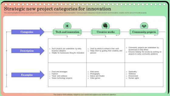 Strategic New Project Categories For Innovation