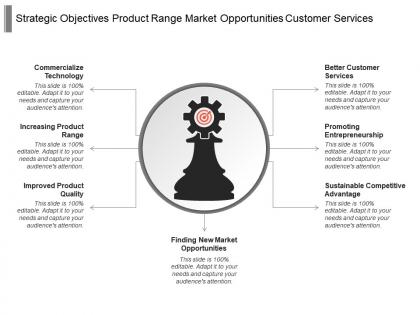 Strategic objectives product range market opportunities customer services
