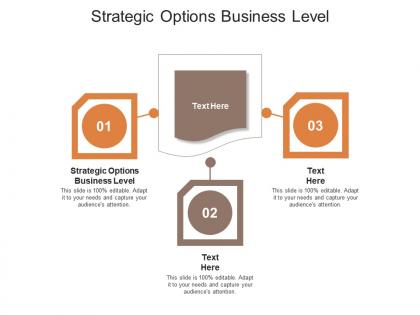 Strategic options business level ppt powerpoint presentation outline inspiration cpb
