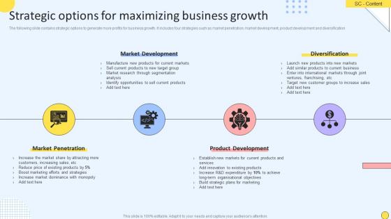 Strategic Options For Maximizing Business Growth