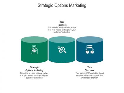 Strategic options marketing ppt powerpoint presentation show graphics tutorials cpb