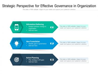 Strategic perspective for effective governance in organization