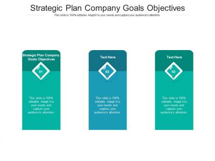 Strategic plan company goals objectives ppt powerpoint presentation icon template cpb
