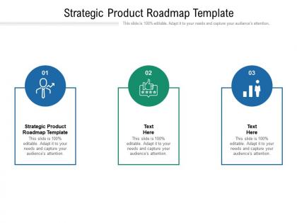Strategic product roadmap template ppt powerpoint presentation example file cpb