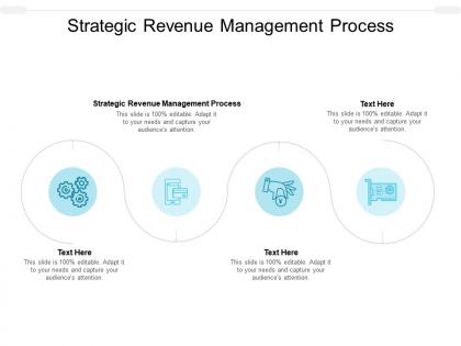 Strategic revenue management process ppt powerpoint presentation ideas example cpb