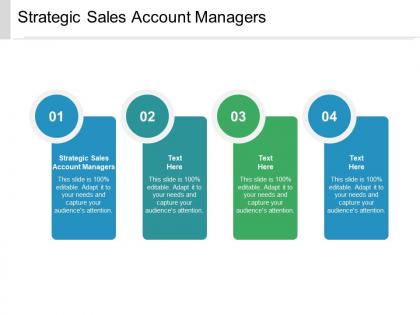 Strategic sales account managers ppt powerpoint presentation pictures skills cpb