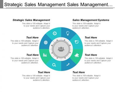 Strategic sales management sales management systems shared marketing services cpb