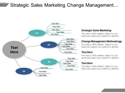 Strategic sales marketing change management methodology customer strategies seo cpb