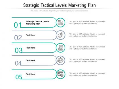 Strategic tactical levels marketing plan ppt powerpoint presentation professional cpb