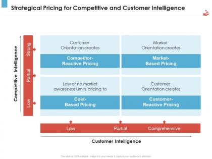 Strategical pricing for competitive and customer intelligence revenue management tool