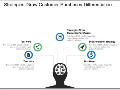Strategies grow customer purchases differentiation strategy narrow market scope
