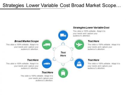 Strategies lower variable cost broad market scope uniqueness competency