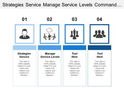 Strategies service manage service levels command control operations