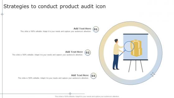 Strategies To Conduct Product Audit Icon