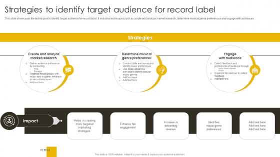 Strategies To Identify Target Audience For Record Label Revenue Boosting Marketing Plan Strategy SS V