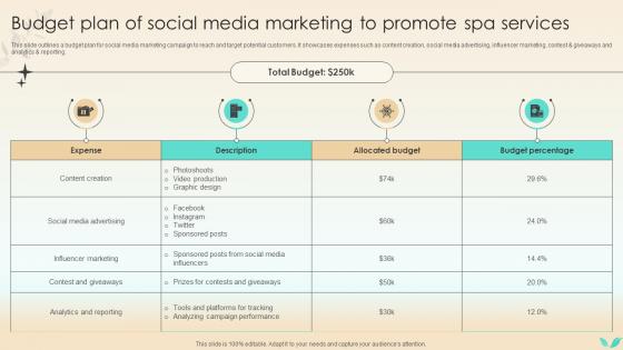Strategies To Increase Spa Business Budget Plan Of Social Media Marketing To Promote Strategy SS V
