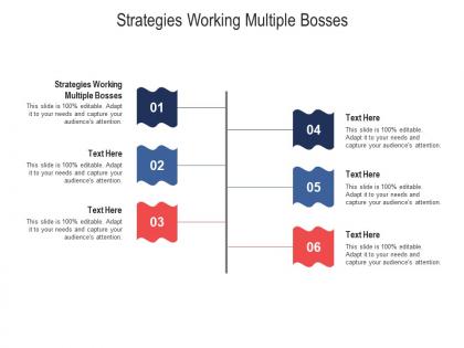 Strategies working multiple bosses ppt powerpoint presentation show visual aids cpb