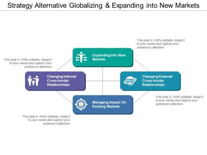 Strategy alternative globalizing and expanding into new markets