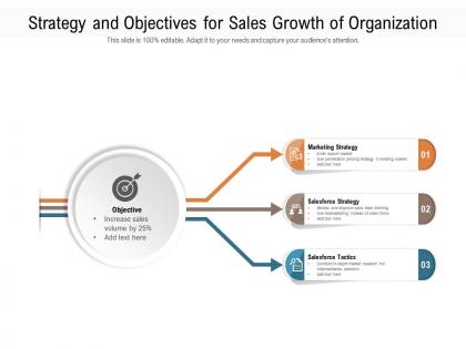 Strategy and objectives for sales growth of organization