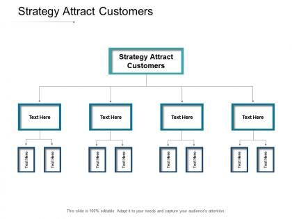 Strategy attract customers ppt powerpoint presentation layouts grid cpb