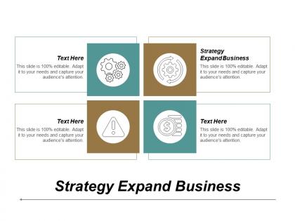 Strategy expand business ppt powerpoint presentation icon diagrams cpb