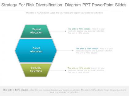 Strategy for risk diversification diagram ppt powerpoint slides