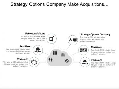 Strategy options company make acquisitions additional strategic partnerships