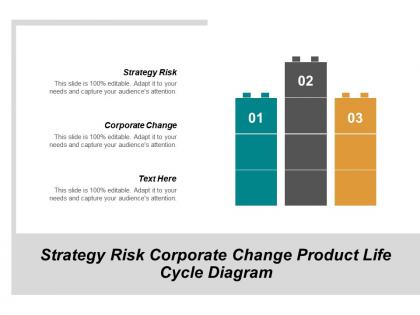 Strategy risk corporate change product life cycle diagram cpb