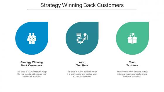 Strategy Winning Back Customers Ppt Powerpoint Presentation Model Designs Cpb