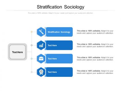 Stratification sociology ppt powerpoint presentation inspiration brochure cpb