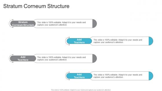 Stratum Corneum Structure In Powerpoint And Google Slides Cpb
