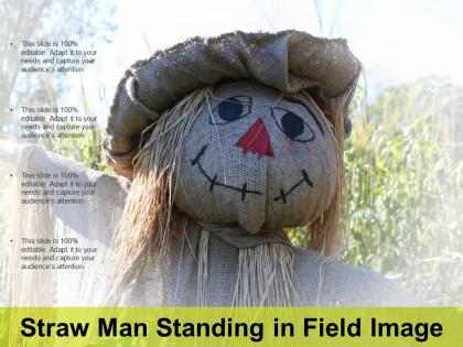 Straw man standing in field image