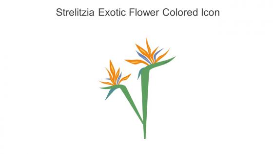 Strelitzia Exotic Flower Colored Icon In Powerpoint Pptx Png And Editable Eps Format