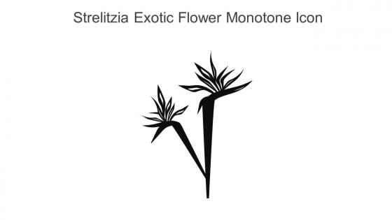 Strelitzia Exotic Flower Monotone Icon In Powerpoint Pptx Png And Editable Eps Format