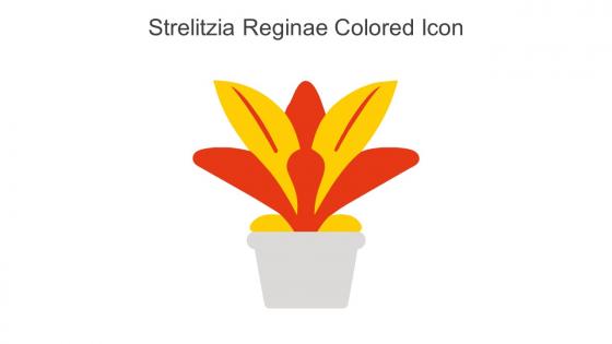 Strelitzia Reginae Colored Icon In Powerpoint Pptx Png And Editable Eps Format