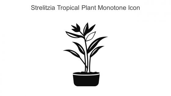 Strelitzia Tropical Plant Monotone Icon In Powerpoint Pptx Png And Editable Eps Format