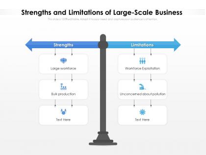 Strengths and limitations of large scale business