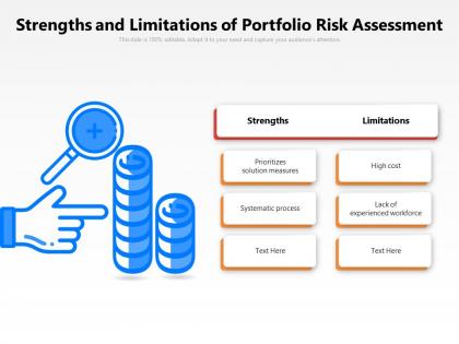Strengths and limitations of portfolio risk assessment